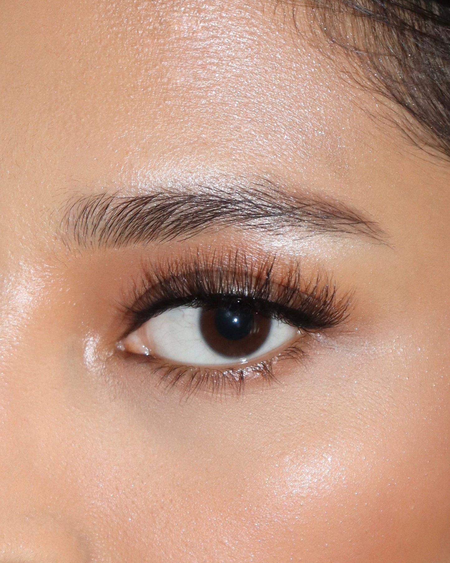 SILK LASHES